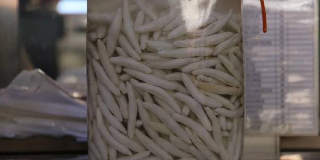 Çeyrek altını solladı, yarım altınla yarışıyor! Böyle sakız görülmedi, fiyatı dudak uçuklatıyor: Sivas’ın dağlarında topluyorlar 4